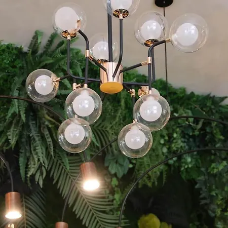 Herastrau Prime Apartment